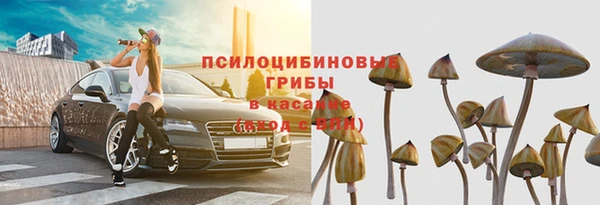 стаф Вязьма