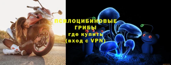 шишки Володарск