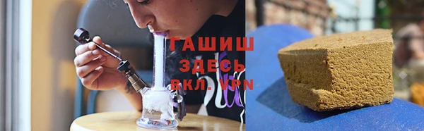 стаф Вязьма