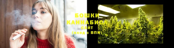 стаф Вязьма