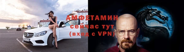 стаф Вязьма