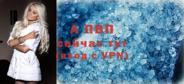 прущие грибы Гусь-Хрустальный