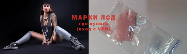 стаф Вязьма