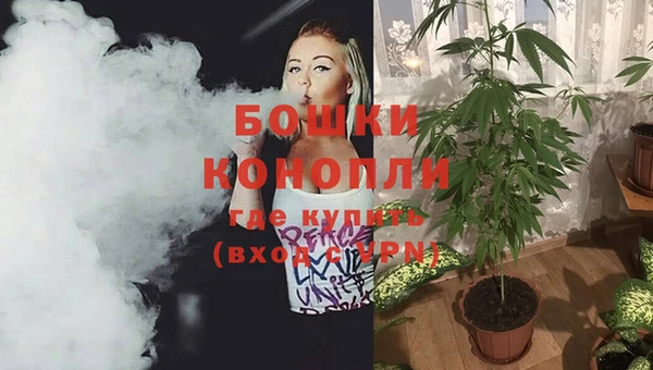 дурь Вяземский