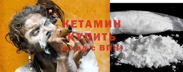 стаф Вязьма