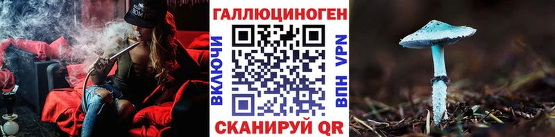 Псилоцибиновые грибы Psilocybine cubensis  где купить наркоту  Ельня 